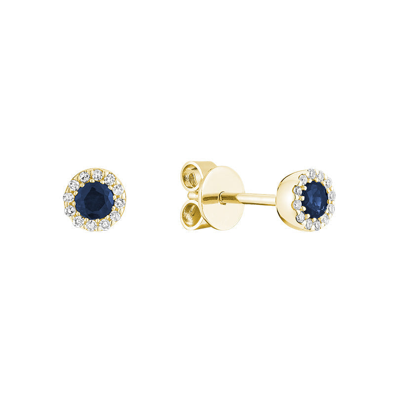Precious Stone & Halo Diamond Earring